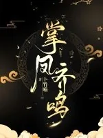 《掌凤齐鸣》小说封面