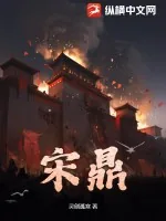 《宋鼎》小说封面
