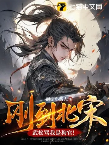 《刚到北宋，武松骂我是狗官！》小说封面