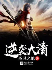 《逆袭大清》小说封面