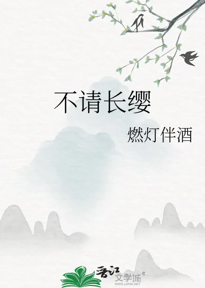 《不请长缨》小说封面