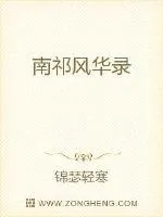 《南祁风华录》小说封面