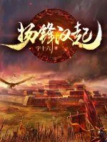 《扬锋汉起》小说封面