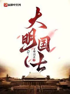《大明国士》小说封面