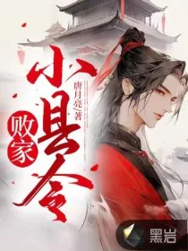 《败家小县令》小说封面