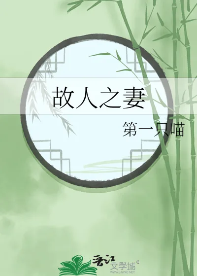 《故人之妻》小说封面