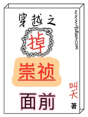 《穿越之掉崇祯面前》小说封面