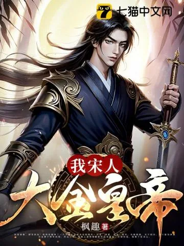 《我，宋人，大金皇帝！》小说封面