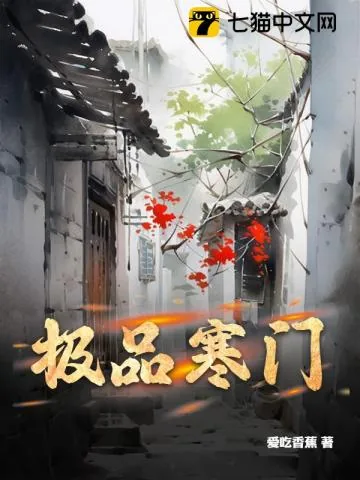 《极品寒门》小说封面