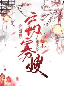 《窃寡嫂》小说封面