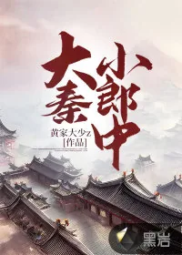 《大秦小郎中》小说封面