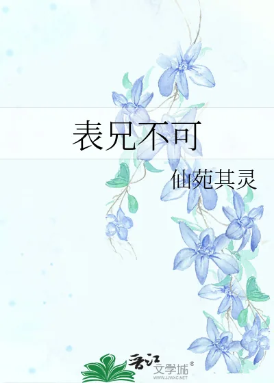 《表兄不可》小说封面