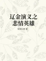 《辽金演义之悲情英雄》小说封面