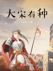 《大宋有种》小说封面