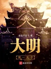 《大明第一太子》小说封面