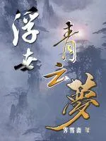 《布衣首辅》小说封面