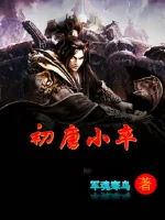 《初唐小卒》小说封面