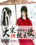 《大宋桃花使》小说封面
