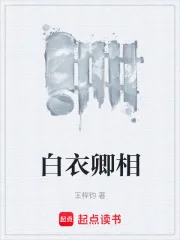 《白衣卿相》小说封面