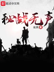 《秘战无声》小说封面