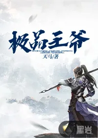 《极品王爷》小说封面