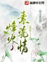 《烽火素瓷情》小说封面