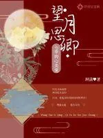 《望月思卿：七爷的心尖宠》小说封面