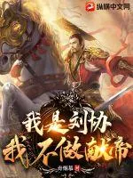 《我是刘协，我不做献帝》小说封面