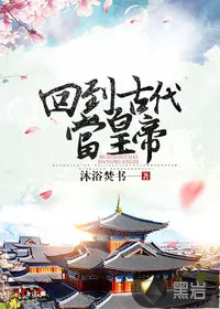 《回到古代当皇帝》小说封面