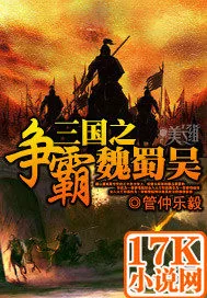 《三国之争霸魏蜀吴》小说封面