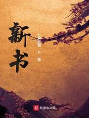 《新书》小说封面