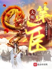《大明第一臣》小说封面