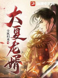 《大夏龙婿》小说封面