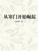 《从寒门开始崛起》小说封面