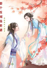 《娶个反贼当老婆》小说封面