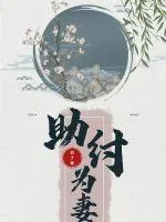 《助纣为妻》小说封面