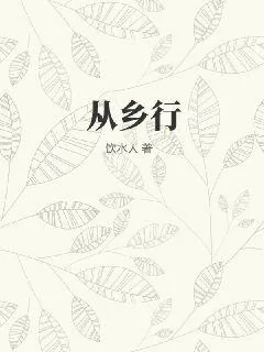 《从乡行》小说封面