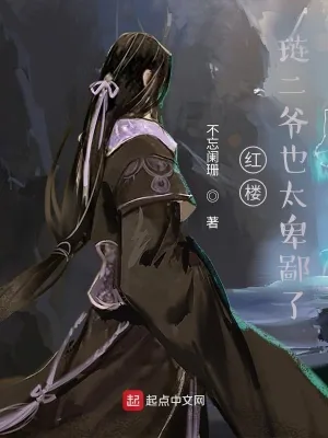 《红楼,琏二爷也太卑鄙了》小说封面