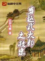 《穿越武大郎之救宋》小说封面
