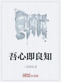 《吾心即良知》小说封面