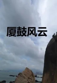 《厦鼓风云》小说封面