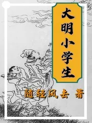 《大明小学生》小说封面
