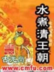 《水煮清王朝》小说封面