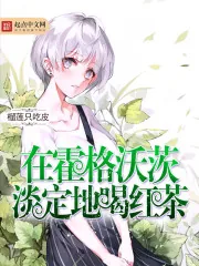《在霍格沃茨淡定地喝红茶》小说封面