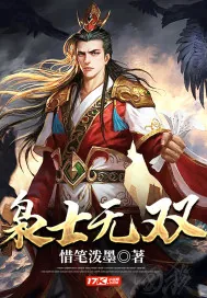 《枭士无双》小说封面