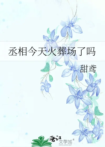 《丞相今天火葬场了吗》小说封面