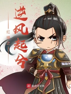 《红楼之逆风起兮》小说封面