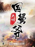 《大明国舅爷》小说封面