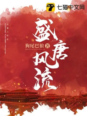 《盛唐风流》小说封面