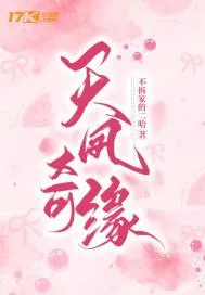 《天凤奇缘》小说封面